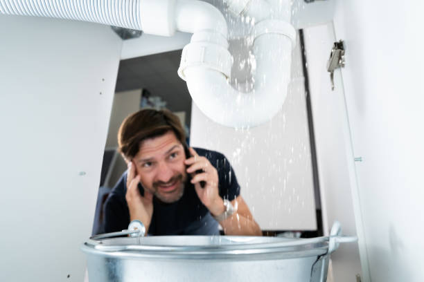 Best Plumbing Services Near Me  in Waverly, MN